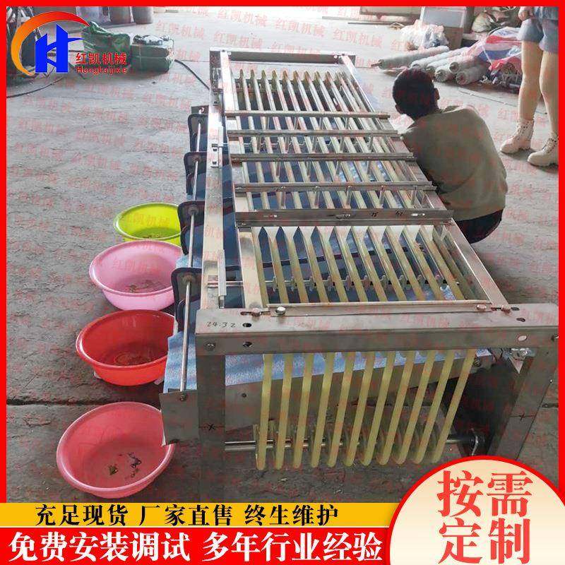 黄桃筛选机是毛桃分选机油桃李子选果机分级机可调节不伤果,清洗/食品/商业设备,其他食品加工设备,淘宝优惠券,粉丝福利购,淘宝优惠卷