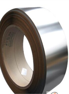 316全喷塑不锈钢扎带HS-4.6x200(stainless steel cable tie)