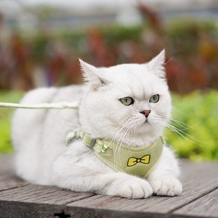 猫绳幼猫夏季 胖猫咪牵引绳宠物背带遛猫神器防挣脱外出背心式