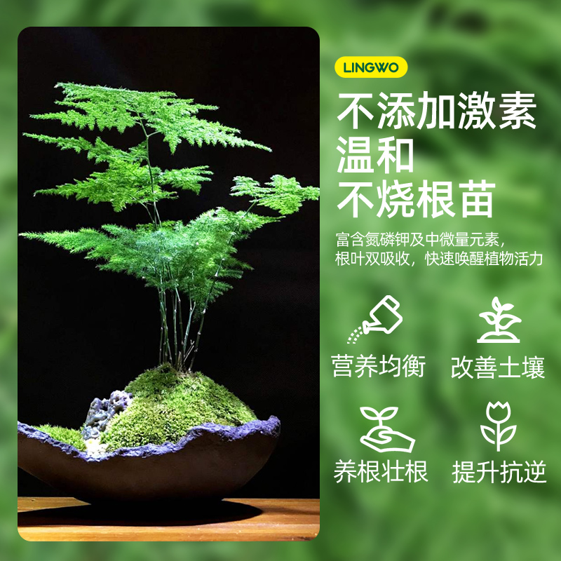 免稀释文竹专用肥营养液家用盆栽养花植物通用花肥料水土培液体肥