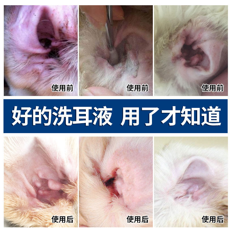 滴耳液狗狗用洗耳液洗耳水耳螨耳臭去除耳垢宠物猫用耳朵清洁用品,宠物/宠物食品及用品,耳部清洁,淘宝优惠券,粉丝福利购,淘宝优惠卷