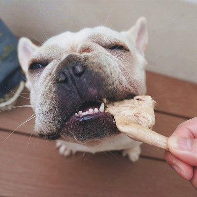 kakaraw冻干兔排兔腿狗狗互动奖励零食磨牙幼犬冻干营养零食