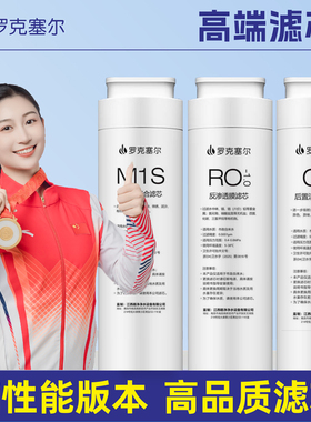 适配碧云泉净水机滤芯G3mini家用净水器R31/R311/R3/M饮水机滤芯