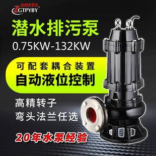 WQ潜污排水泵城市污水处理wq无堵塞铸铁潜水泵潜水排污泵