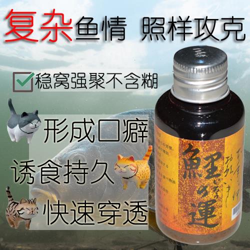四季鲤运鱼饵添加剂鲤运竞技钓鱼小药麝香钓鱼鲫鱼饵料钓饵阿魏