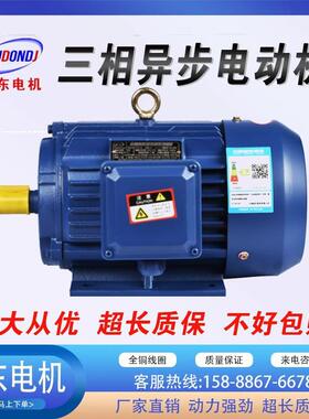 铜芯国标电机15W型号160M2-2三相异步电动机高效节能380V