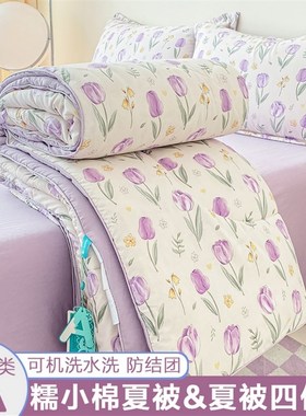 2024新款A类夏凉被四件套学生宿舍床被子夏天空调被可机洗三件套