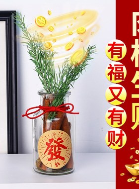 肉桂生财瓶摆件招财玻璃瓶花瓶diy材料客财厅位乔迁新居搬家用