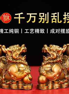 铜貔貅摆件公母一对家用室内招财旺财聚财皮丘貔恘装饰开业礼品