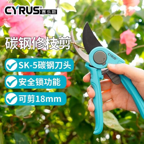 花剪植物园艺剪刀修枝剪家用树枝花草修剪工具园林花枝盆栽剪子