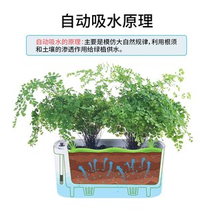 懒人花盆自动吸水大号创意长方形塑料花盆特大仿陶瓷绿萝花盆树脂