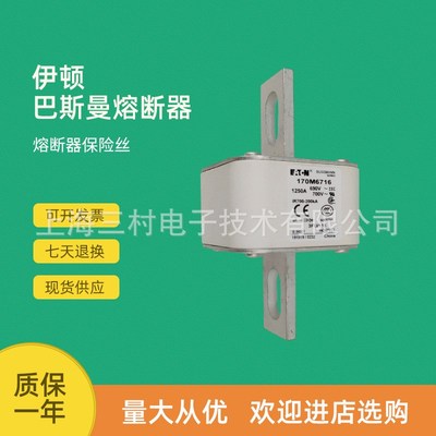 全新原装快速熔断器保险丝170M6731 6732 6734 6738 6739现货