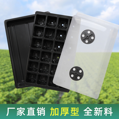 育苗盒高盖24孔扦插盆植物育苗盘穴盘种植塑料秧盘播种育苗盆蔬菜