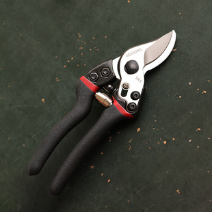 剪刀修枝剪弹簧强力园艺剪刀家用SK5修剪树枝剪盆栽水果树花卉剪