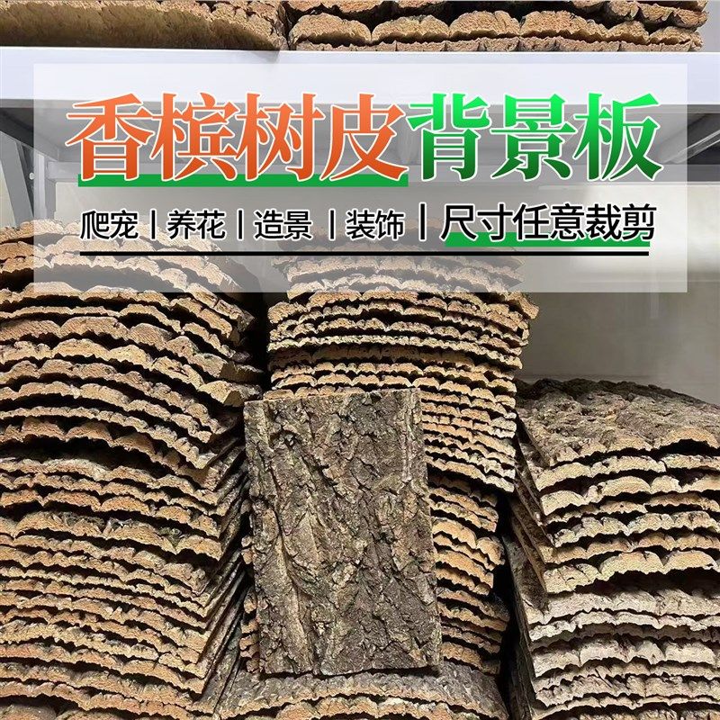 真树皮软木树皮香槟树皮爬宠鱼缸造景绿植装饰水族装饰贴墙背景板,鲜花速递/花卉仿真/绿植园艺,仿真绿植,淘宝优惠券,粉丝福利购,淘宝优惠卷