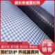 塑料网格养殖网圈地漏粪网养鸡鸭围栏果园鱼塘防护网安全户外垫网