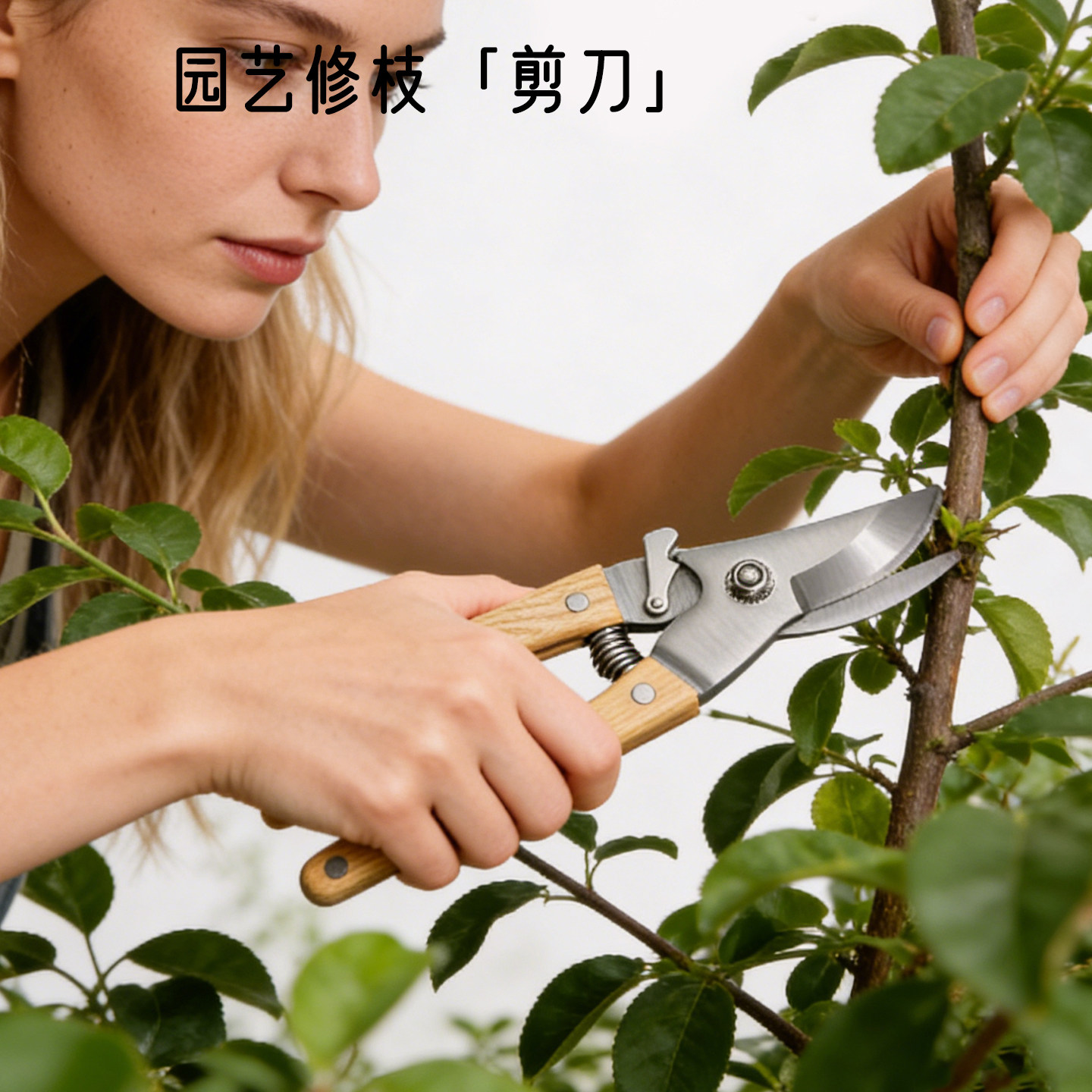JO英国园艺剪修枝剪果树剪刀家用树枝剪花枝剪花园剪修花剪刀 JL9