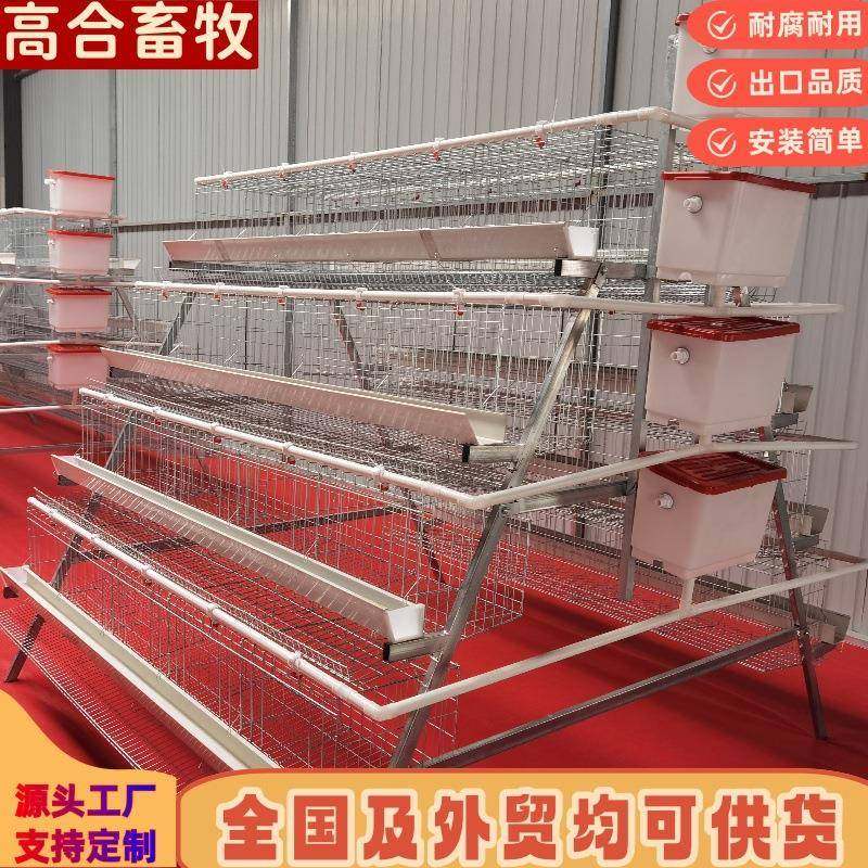四层五门蛋鸡笼鸡笼镀锌笼三层四层阶梯蛋鸡笼工厂直供可供外贸,畜牧/养殖物资,特种养殖设备,淘宝优惠券,粉丝福利购,淘宝优惠卷