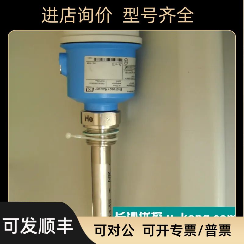 E+H FTL51-NGR2BB4G5A 音叉物位计声波液位计