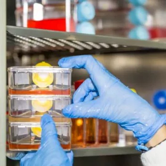 氧气传器探头 MicroSENS高温红外二氧化碳传器 红外甲烷传