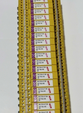 原装德国盾牌DEHN  低频防雷模块920324（ BXT