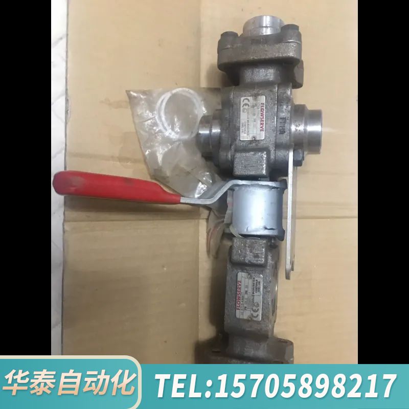 华泰Flowserve 10 AT13-4466TT PN55