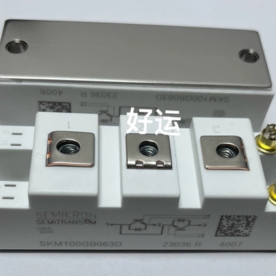 SKM100GB063D SKM50GB063D SKM75【议价】