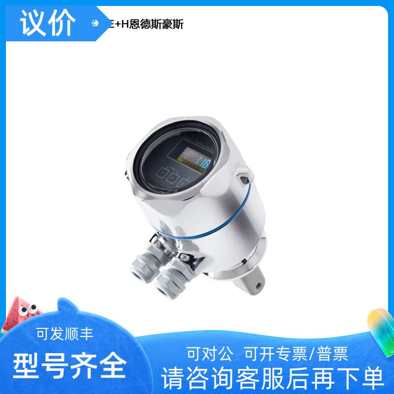 E+H 卫生型环形电导率仪 CLD18-BGGE CLD18-ATDK