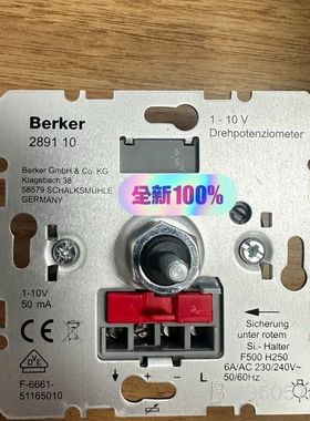 Berker 2891 10 1-10V50mA F500详谈