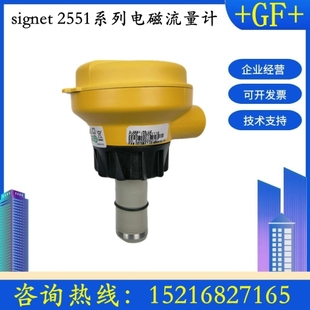 P2插入式 Signet 電磁流量計探頭 2551