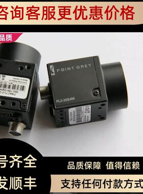 point grey灰点相机FL2-20S4M-C黑白色