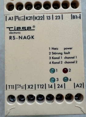 Tlese安全继电器 RS-NAGK【议价】