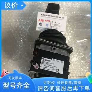 1P11Q BS811GV PH12 PH电极