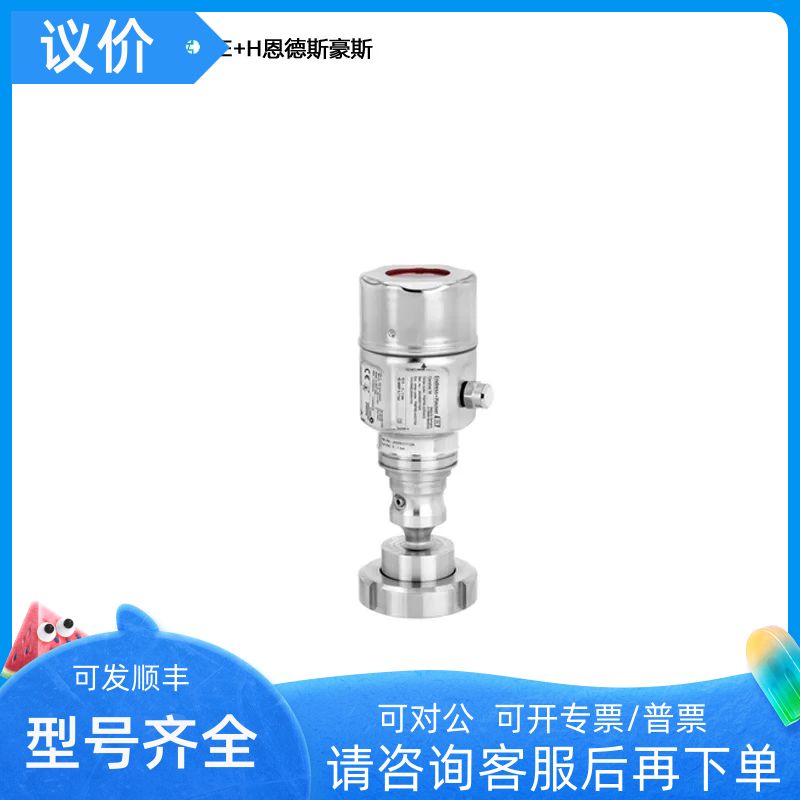 E+H 数字式压力变送器 PMP55-1Q8R0/0 PMP55-AA22QA1PGBT7JA4A+AK