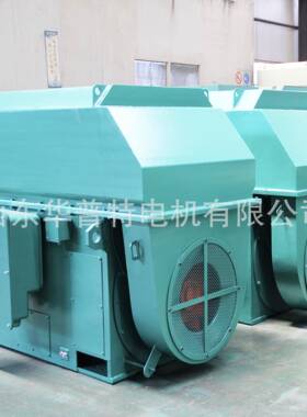 出口三相111异步电机，800kW 600转6000V，B，3 I61C1， FAG轴承