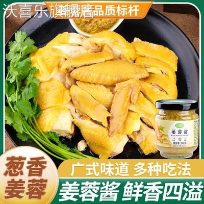 广东正宗沙姜酱新鲜广式猪肚蘸料瓶装姜泥调味料官方旗舰店