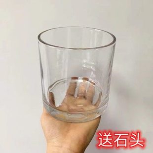 简约水培玻璃花盆圆形正方形透明郁金香种球摆件水养植物器皿花瓶