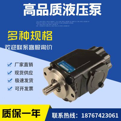美国denison双联泵T6EC 045 012 2R02 C100 叶片泵丹尼逊液压油泵