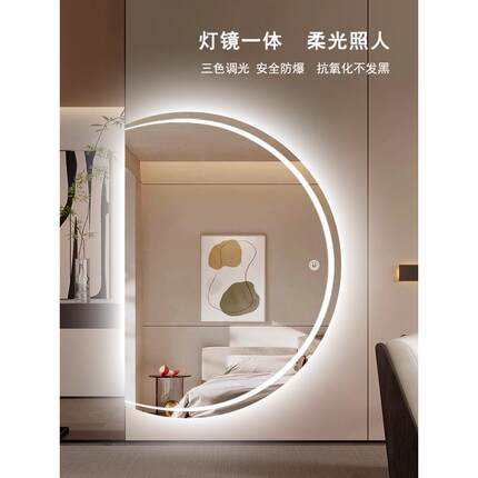半圆形led智能全身镜家用ins穿衣镜壁挂粘贴试衣镜异形立体大镜子