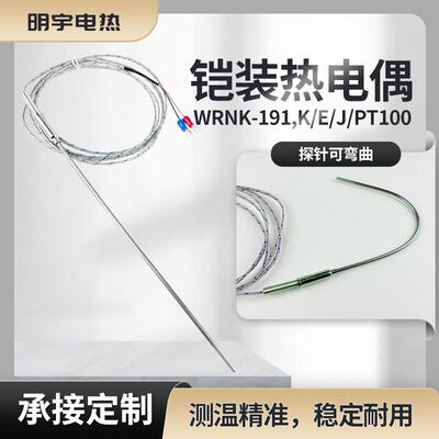 K型针型铠装热电偶 WRNK-191温度传感器 可弯曲测温探头 Φ3*300