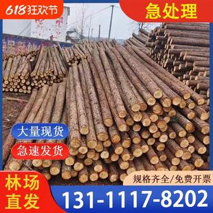 杉木桩河道打桩落叶松支撑杆原木篱笆围栏圆木桩装饰绿化杉木桩
