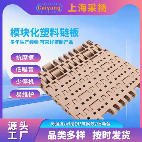 厂家CY-25400重载型塑料网带食品物流制造业轮胎输送链板节距25.4