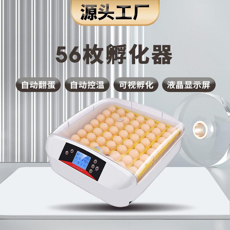 源头工厂56枚跨境外贸热销养殖孵化设备小鸡鸟蛋鹌鹑鸽子鸭孵蛋器