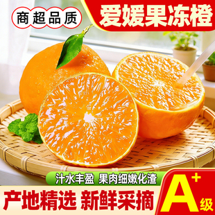 正宗四川爱媛38号果冻橙红美人柑橘手剥橙子新鲜套袋果皮薄多汁