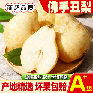 山东正宗中华佛手丑梨新鲜当季水果梨子梨胜甜太婆梨软糯香甜现摘