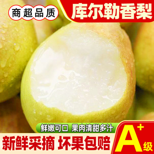 【新鲜速发】 新疆库尔勒香梨当季新鲜水果青酥香梨脆甜多汁母梨