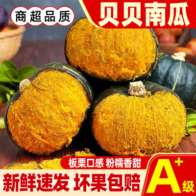 山东贝贝南瓜新鲜现摘板栗味