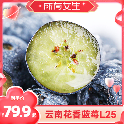 云南高山花香L25蓝莓大果鲜果