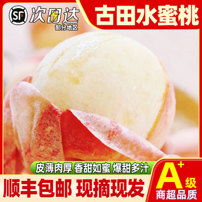正宗古田水蜜桃新鲜水果