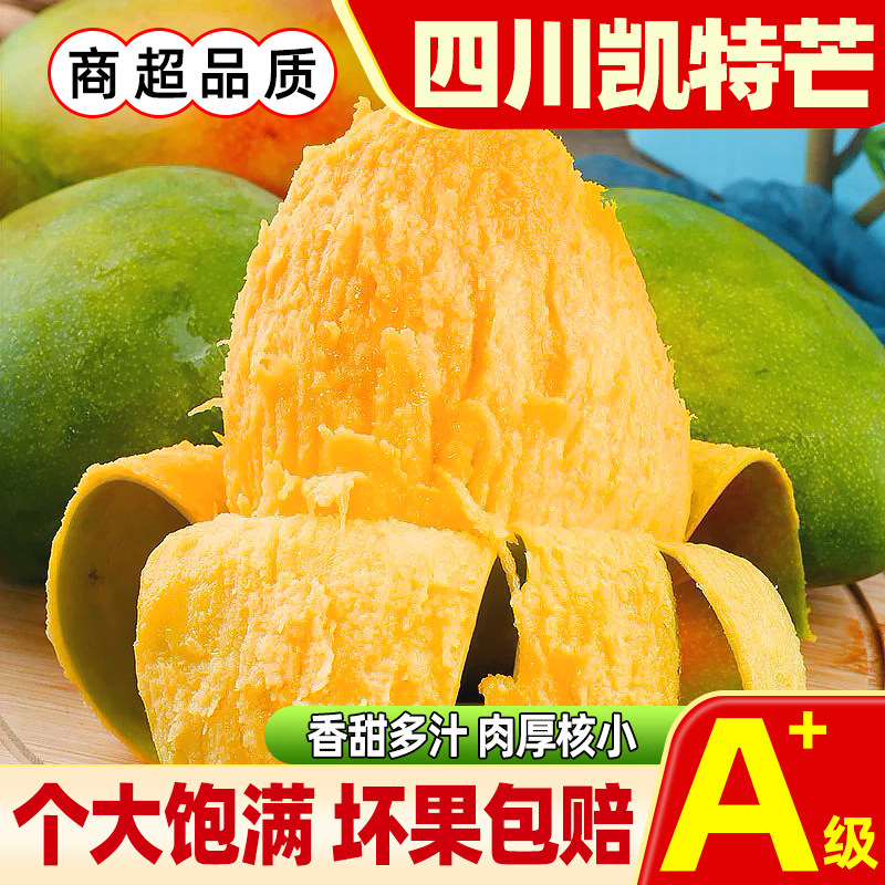 正宗老树四川凯特芒果当季现摘香甜大青皮芒果热带新鲜水果整箱
